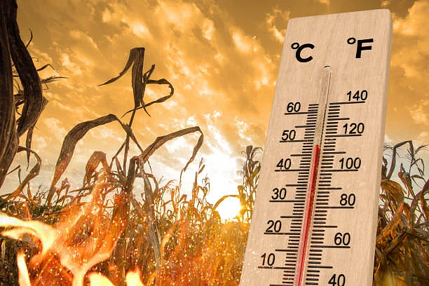 The IMD has warned of a prolonged heatwave across multiple states
