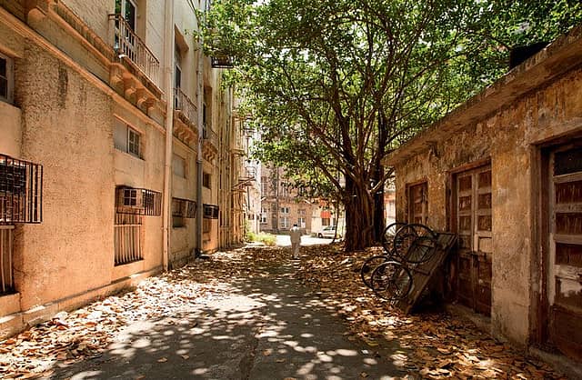 One of the many decrepit back lanes.