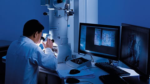 Photo by Narendra Bisht