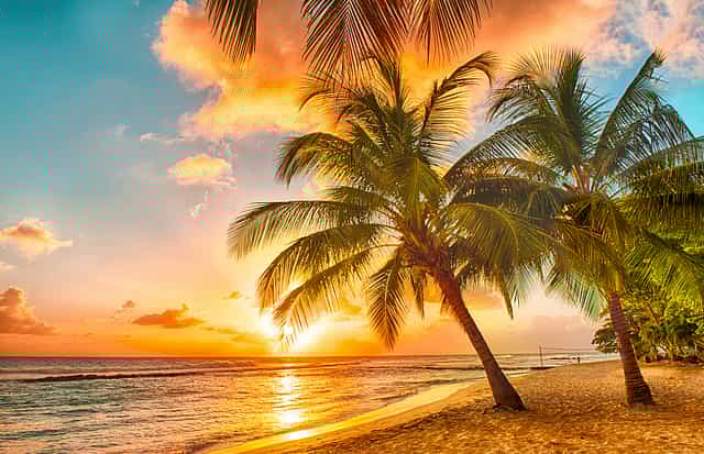 From Goa to Geneva, India’s green travel shift is forcing the tourism industry to adapt, report shows