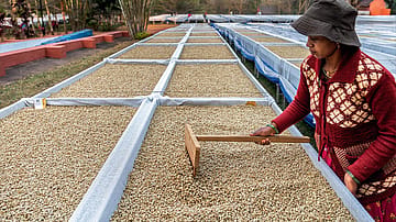 How Araku Coffee is trying to 