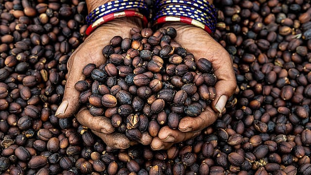 India's coffee revolution