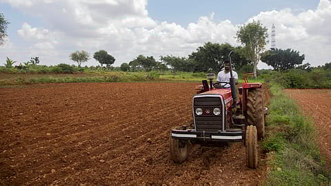 Of the nine central PSUs in the fertilizer sector, all four listed companies are profitable entities.