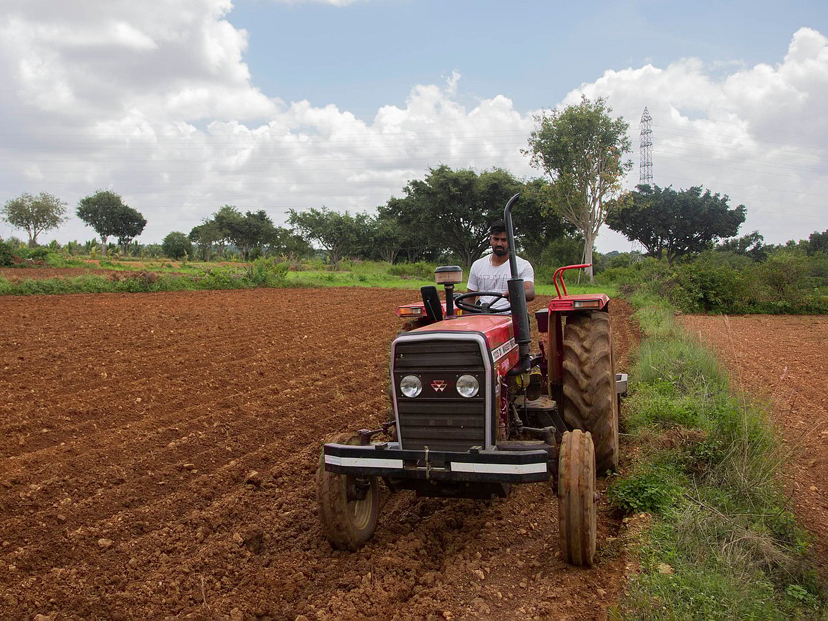 Of the nine central PSUs in the fertilizer sector, all four listed companies are profitable entities.