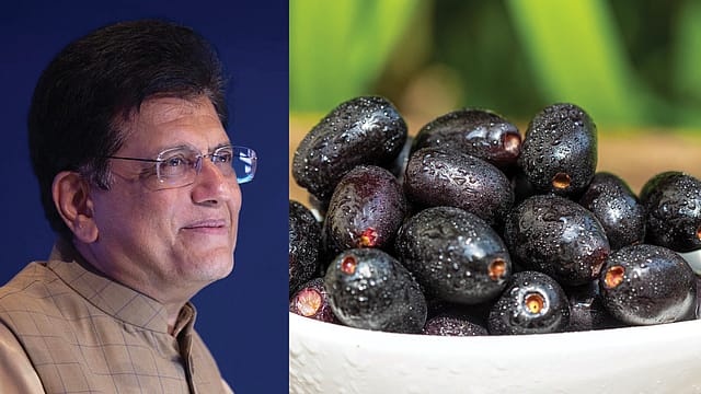 Fresh jamuns make UK debut; Karnataka farmers reap nearly double the price