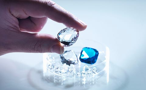 The diamond-led brand saw particularly strong momentum in its studded jewellery segment, which grew 24% year-on-year