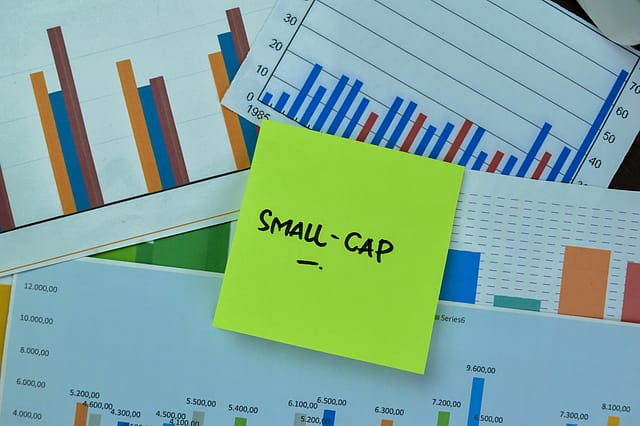 ‘Tend to outperform during...’: Why retail investors defy market caution to pour money into small-cap funds 