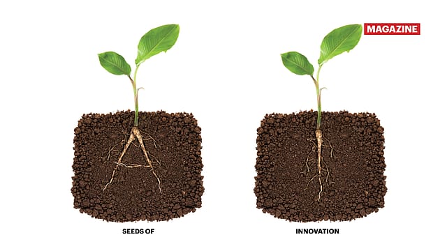 How India’s agritech startups are transforming farming with storage, fintech, and climate solutions