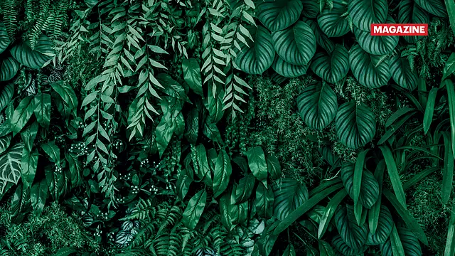 What lies ahead for India's bioeconomy sector?