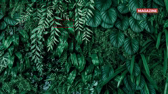What lies ahead for India's bioeconomy sector?