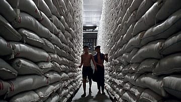 JK Lakshmi Cement merges Udaipur Cement Works to boost presence, streamline ops