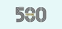 Fortune 500 India