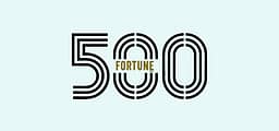 Fortune 500 India
