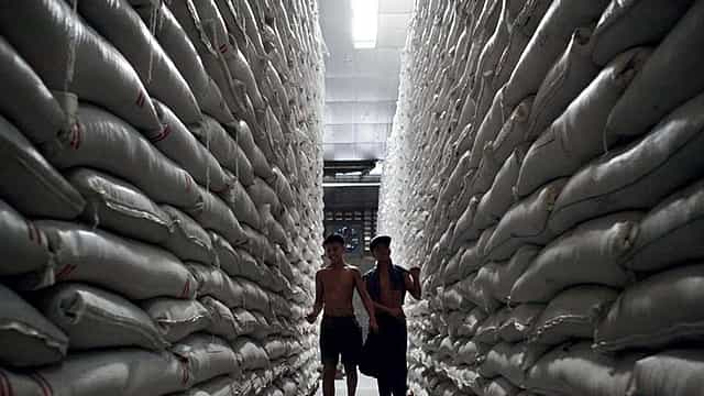 GST 2.0 to lower construction costs by 3.5-4.5%, may boost homes affordability: Crisil Intelligence
