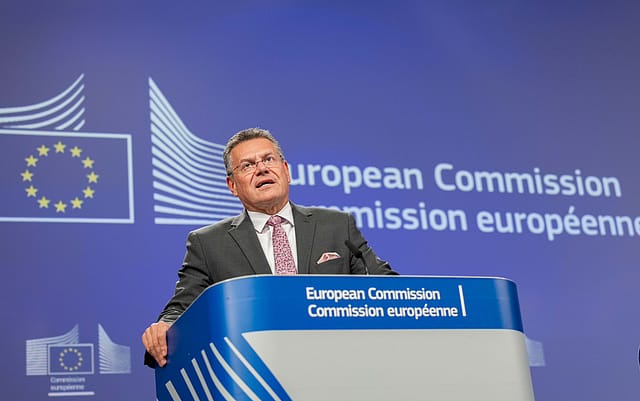 India-EU FTA to be ‘groundbreaking’; maximising efforts to finalise negotiations by year-end: EU’s Maroš Šefčovič