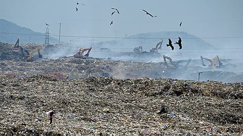The decomposing materials react with the microorganisms in the landfill and result in emission of poisonous gases