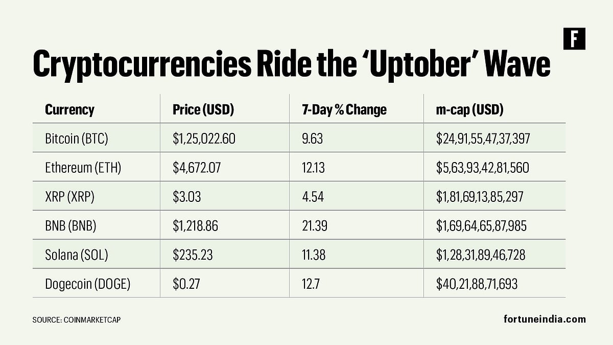 Ethereum, XRP, Solana, Dogecoin join crypto rally as Bitcoin scales record  highs