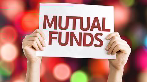 The fund-of-funds structure provides notable benefits for investors