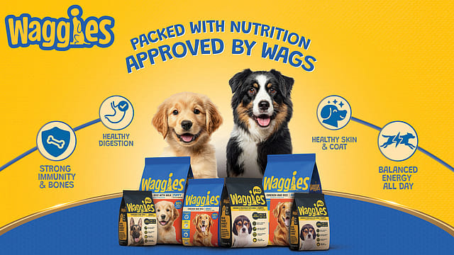 Reliance Consumer launches Waggies pet food as it deepens FMCG expansion Reliance Consumer launches Waggies pet food as it deepens FMCG expansion