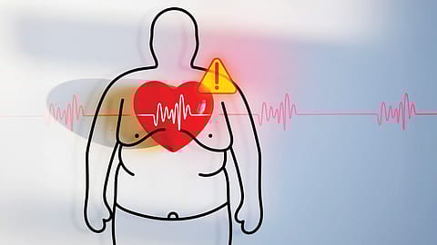 Recognising obesity as a critical health concern, the government has adopted a holistic strategy combining nutrition, physical activity, food safety, and lifestyle changes.