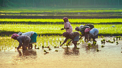 The below-normal rainfall is expected to weigh on kharif sowing and agricultural output, while also limiting the replenishment of reservoir storage.