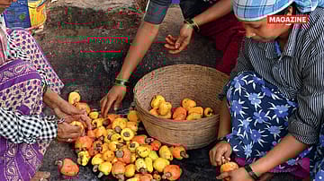 Budget 2026: Reimagining Indian agriculture, from volume to value 