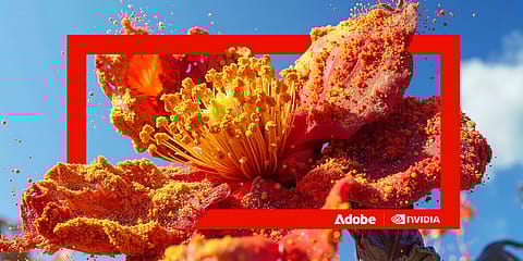 Adobe and NVIDIA Partership