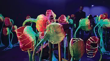 Kochi’s constellation of art