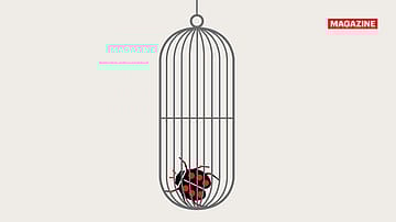 India’s prescription to tackle superbugs