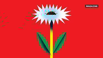 Investors, chasing returns, often miss balancing their portfolio. Here’s what they need to do