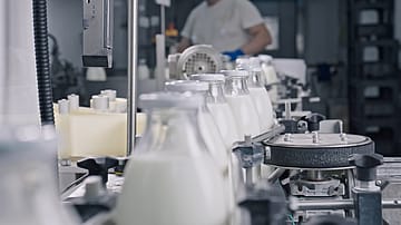 Rethinking dairy supply chains