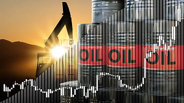 No WFH mandate, no blanket import curbs — but Kerala’s fuel pumps are rationing purchases, and India Inc. is bracing for impact of West Asia war