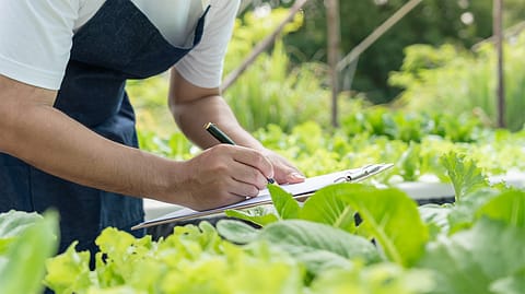Called ‘PRAGATI’, the programme has been built on the learnings from the Agri-Entrepreneurship (AE) model, developed and refined through years of on-ground implementation.