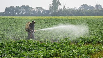 PI Industries to launch India's first indigenously developed pesticide  Pioxaniliprole