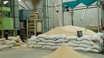 India’s sugar season begins on