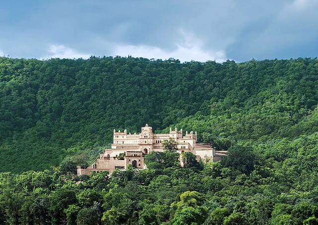 A safari beyond the ordinary: A safari beyond the ordinary: