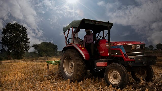 El Niño threat: Why food compa