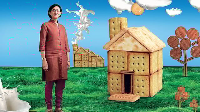 Bali and the snacks factory Bali and the snacks factory