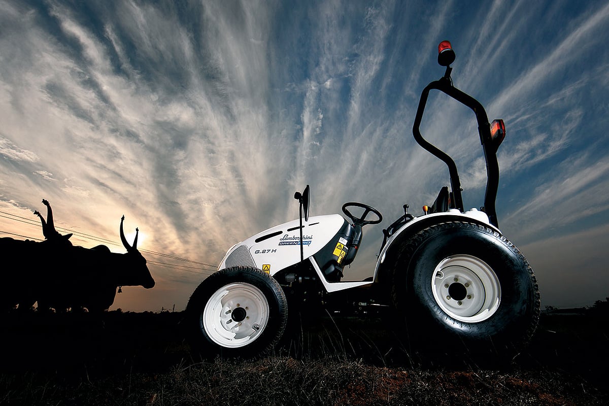 The new bull of farming