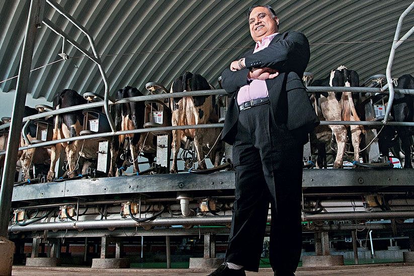 Pouring money into milk