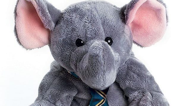 India's newest envoys India's newest envoys