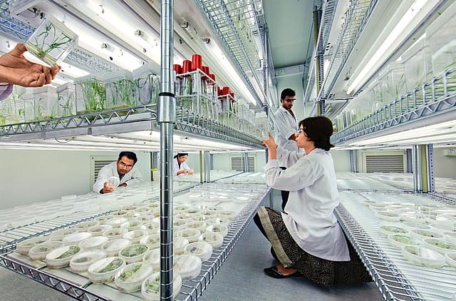 Boehringer, IIT Kanpur tie-up for healthcare innovations