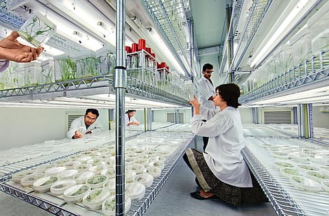 India's continuous rise in innovation index is due to the progressive initiatives taken by govt and industry, says commerce minister Piyush Goyal.