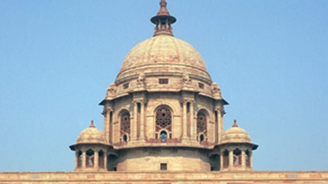 Prez green Prez green