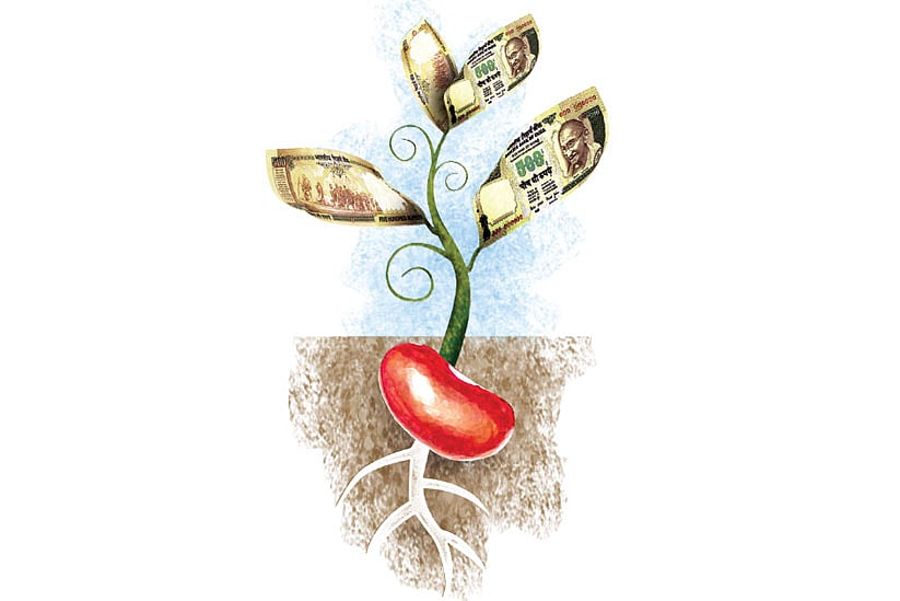 Deals for high yield 