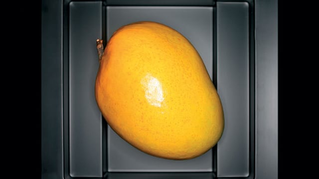 Mango & Cash Mango & Cash