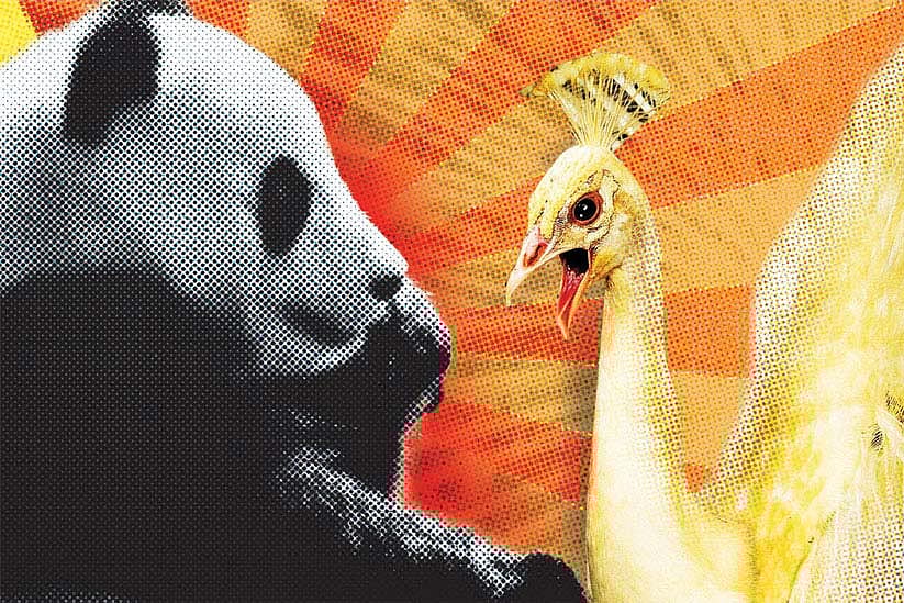 Lights, camera, reaction