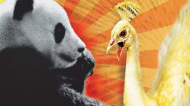 Lights, camera, reaction Lights, camera, reaction