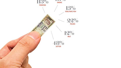 BEGINNING TO BITE: A rupee today buys far less than it did even a year ago. Rising inflation has eaten into purchasing power, with prices of primary articles going up by 17% for the period from January 2010 to January 2011.