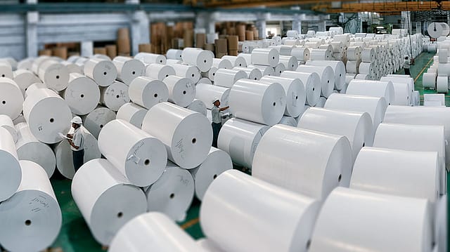 Paper Tiger Paper Tiger